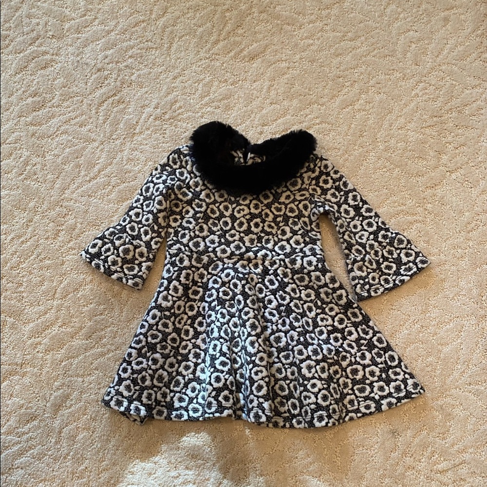 Janie and Jack Fur Collar Dress